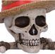 Скринька One Piece Веселий Роджер Луффі, 19.5 см B7185C25 фото 5