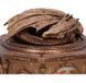 Шкатулка Nemesis Now House of the Dragon Syrax (Дом Дракона Сиракс) 16 см B7241C25 фото 5