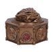 Шкатулка Nemesis Now House of the Dragon Syrax (Дом Дракона Сиракс) 16 см B7241C25 фото 2