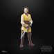 Колекційна фігурка Hasbro Star Wars: The Acolyte Black Series Action Figure Jedi Master Sol 15 cm AF9539 фото 16