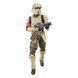 Набір колекційних фігурок Hasbro Star Wars: Rogue One Black Series Action Figure 2-Pack Shoretrooper & Death Trooper 15 cm AF3164 фото 13