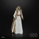 Коллекционная фигурка Hasbro Star Wars: Acolyte Black Series Action Figure Jedi Master Vernestra Rwoh 15 cm AF2019 фото 7