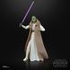 Коллекционная фигурка Hasbro Star Wars: Acolyte Black Series Action Figure Jedi Master Vernestra Rwoh 15 cm AF2019 фото 11